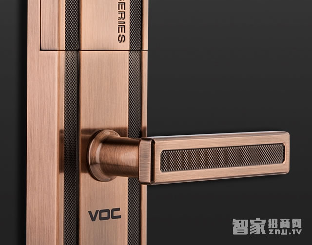 voc智能密码锁 F9指纹家用电子门锁