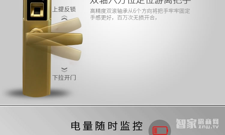 智能屋智能锁 家用指纹密码锁（丽都金）