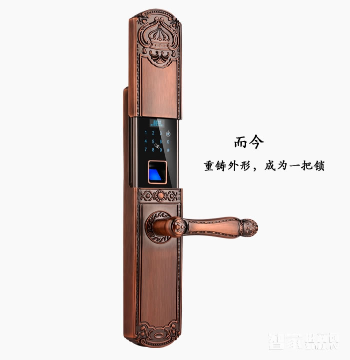 蓝盾智能锁  LT-9000E龙冠翼鸟指纹锁密码锁刷卡锁 滑盖黄金色