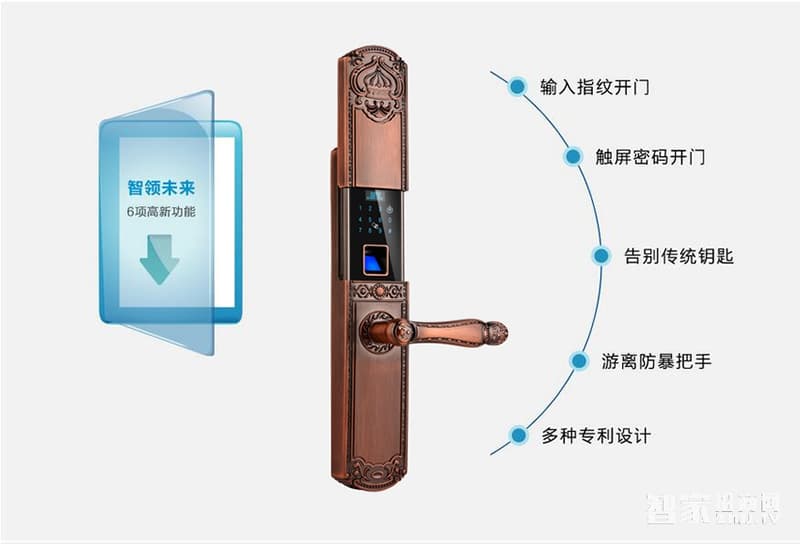 蓝盾智能锁  LT-9000E龙冠翼鸟指纹锁密码锁刷卡锁 滑盖黄金色