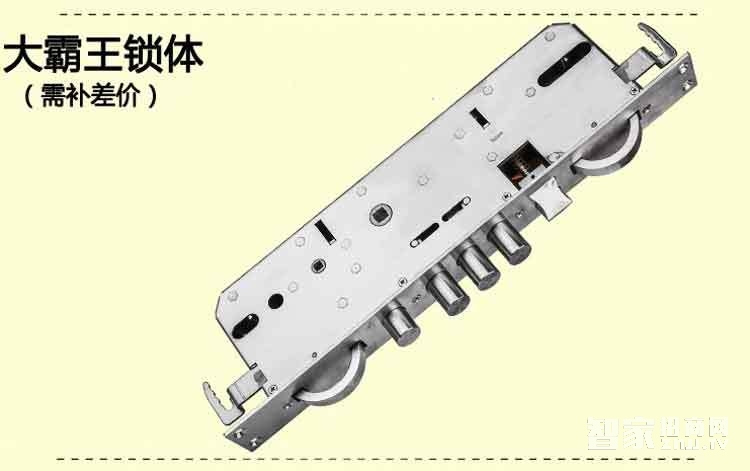 坚甲卫士瑞典指纹头平滑盖指纹锁 密码刷卡锁