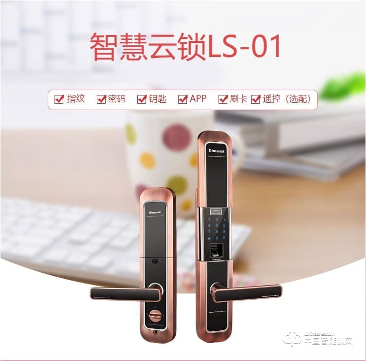 迪曼斯智能锁 智能家居家用防盗门密码磁卡锁LS-01