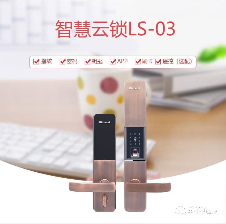 迪曼斯智能锁 智能家居家用防盗门密码磁卡锁LS-03