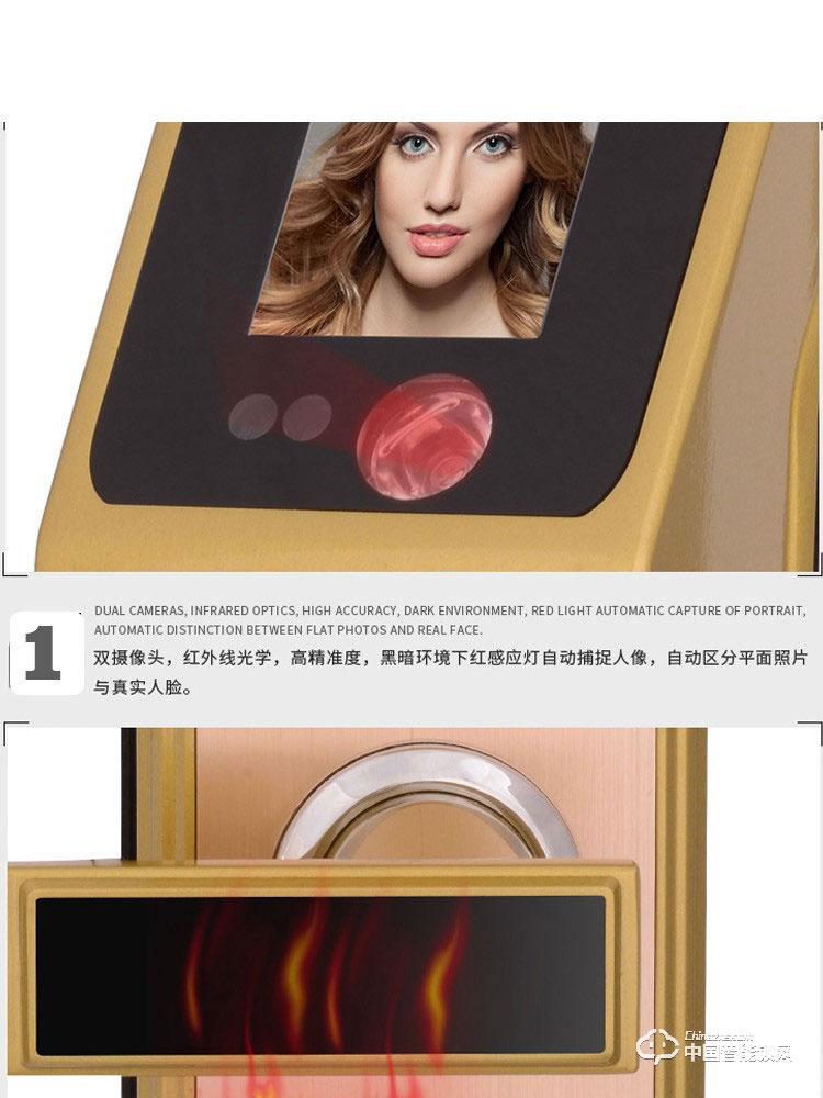 范斯洛克智能锁 古铜色第二代人脸识别锁