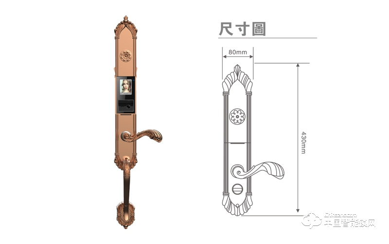 茵朗智能锁 人脸识别智能锁EF18