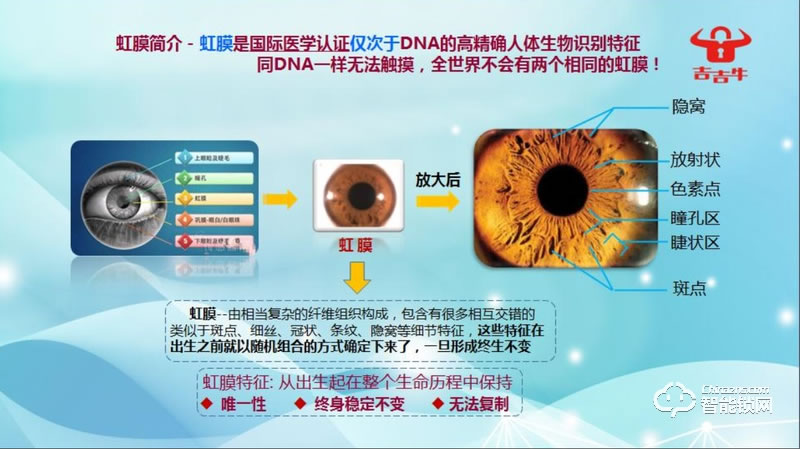 吉吉牛智能锁 S8香槟金虹膜智能锁