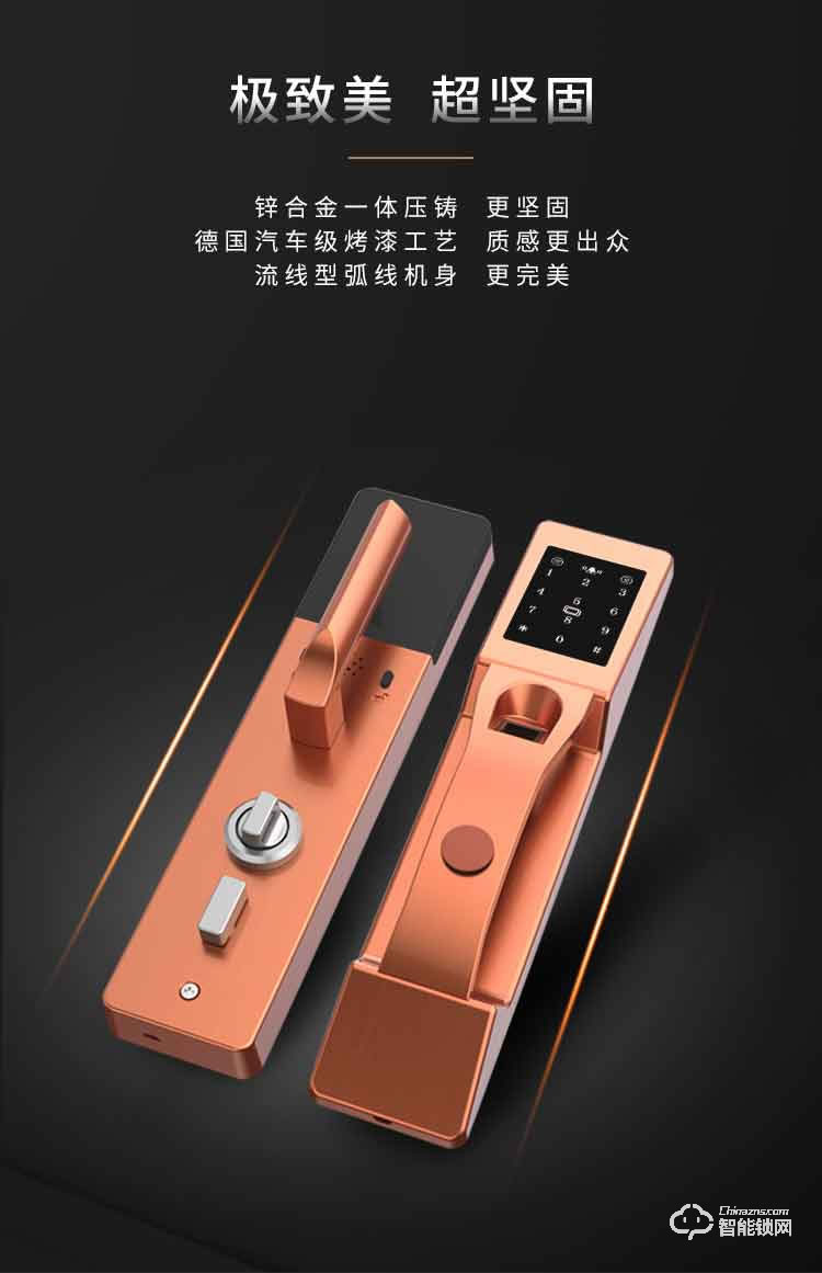 金网通智能锁 9810S家用智能密码指纹锁