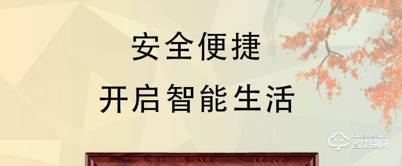 三得利智能门 进户门安全入户标准门智能门