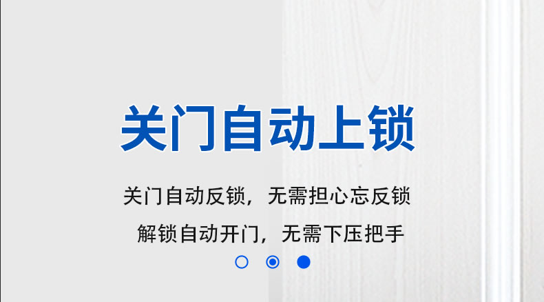 麦尔思智能锁 R8人脸识别全自动智能指纹锁