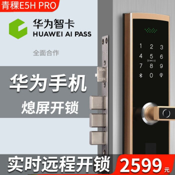 青稞智能锁 E5H Pro家用电子防盗WIFI远程智能锁