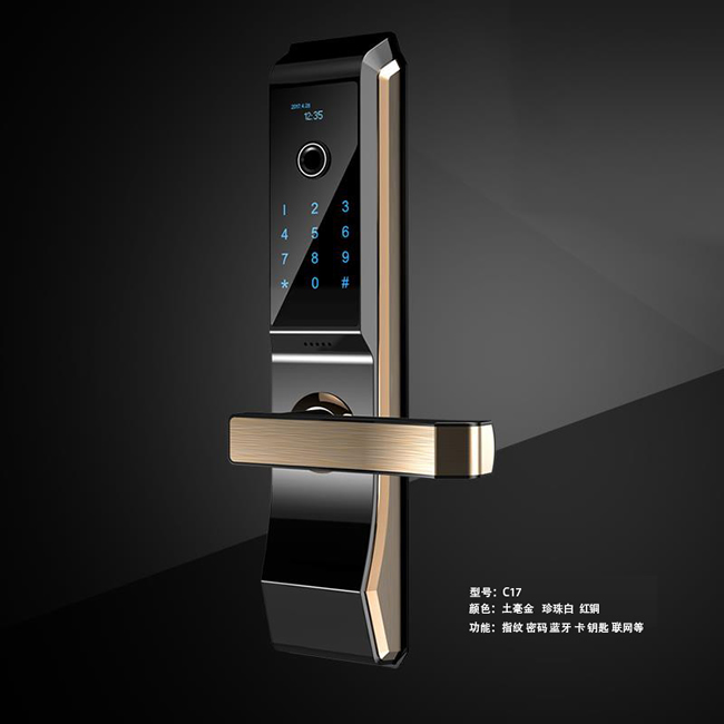 亿宸智能锁 C17家用防盗门智能联网锁