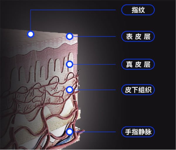 朴墅指静脉智能锁，时刻守护你的安全