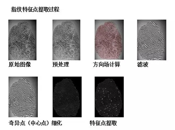 解析：半导体式指纹锁开锁原理和过程