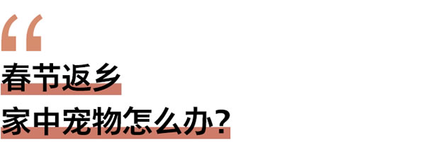 春节返乡家门安全谁来顾？这题交给飞利浦智能锁